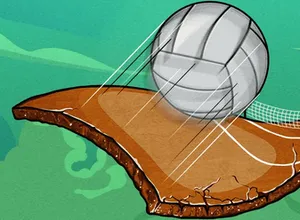 Mpira wa Wavu wa Mtandaoni